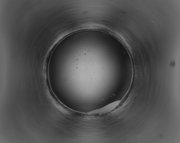 X0000089910843200707131347