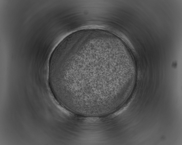 X0000089910844200707131347