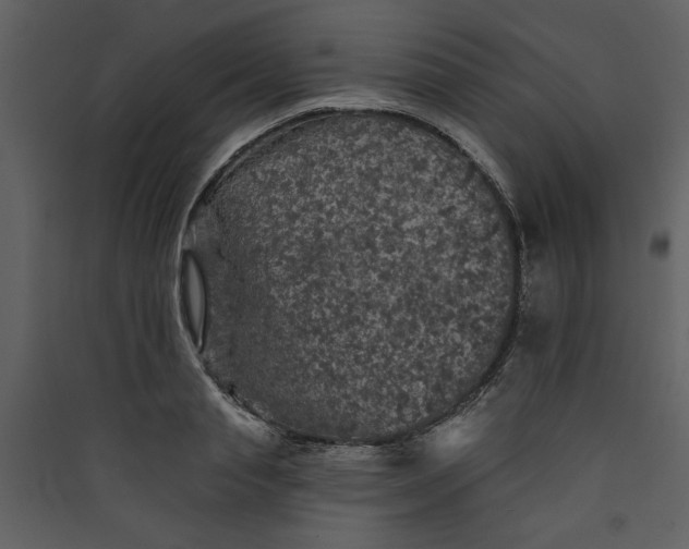 X0000089910845200707131347