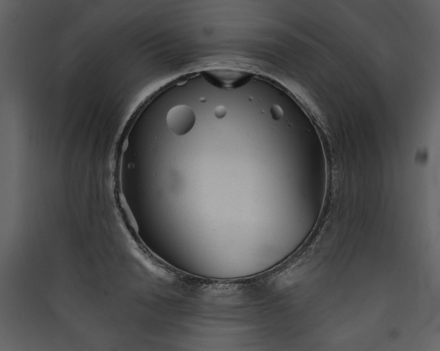 X0000089910846200707131347