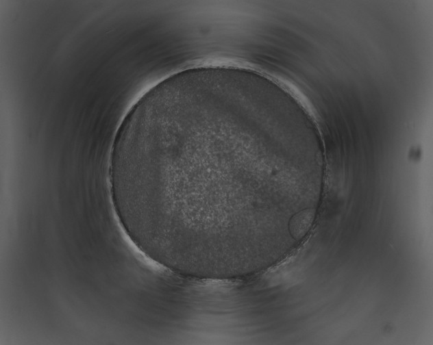 X0000089910847200707131347