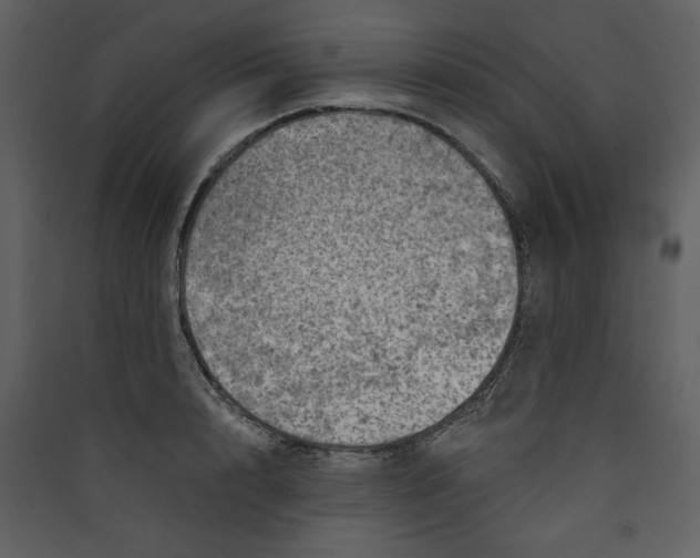 X0000089910848200707131347