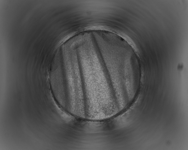 X0000089910849200707131347