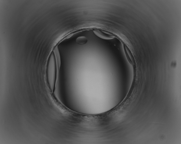 X0000089910850200707131347