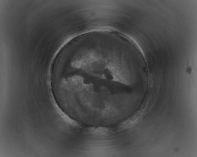 X0000089910851200707131347