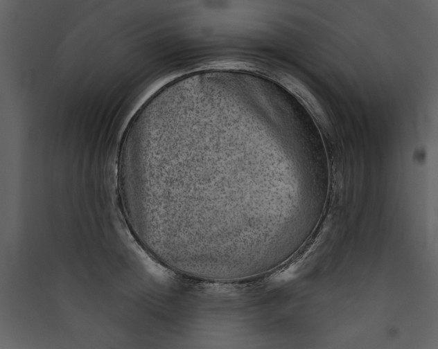 X0000089910852200707131347