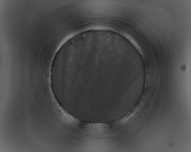 X0000089910853200707131347