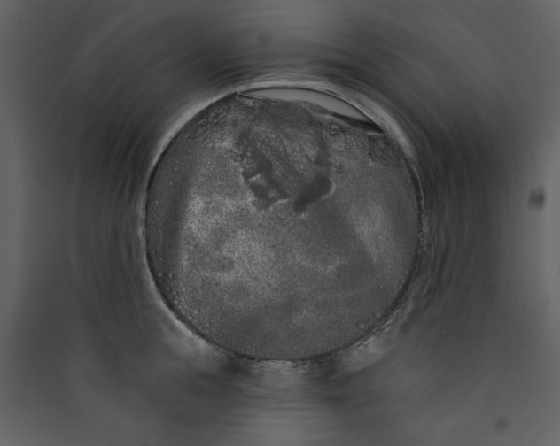 X0000089910855200707131347