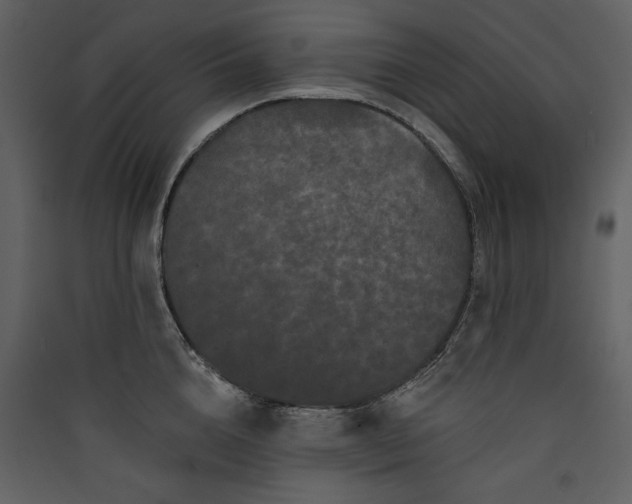 X0000089910856200707131347