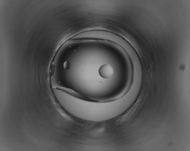 X0000089910858200707131348