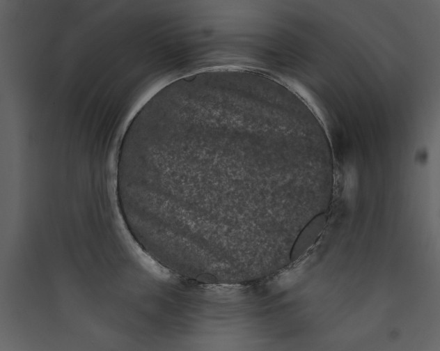 X0000089910859200707131348
