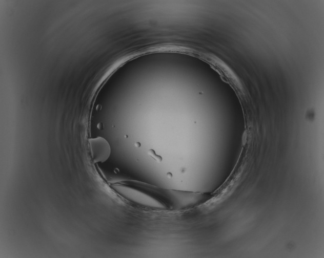 X0000089910860200707131348