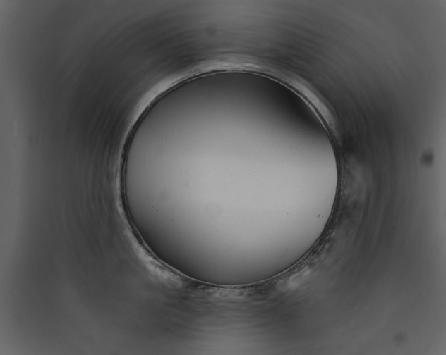 X0000089910861200707131348