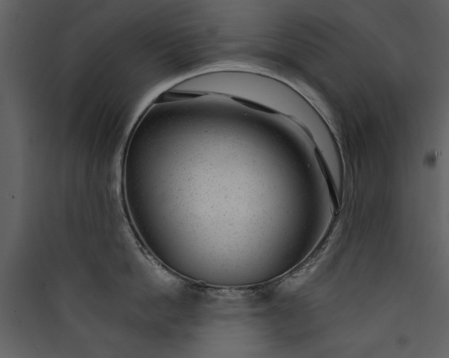 X0000089910862200707131348