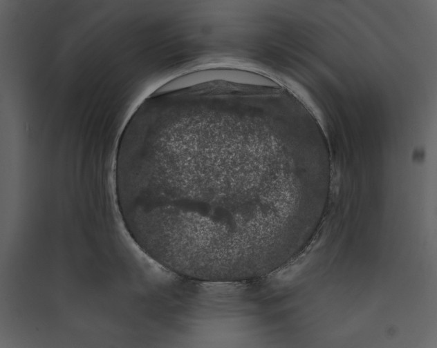 X0000089910863200707131348