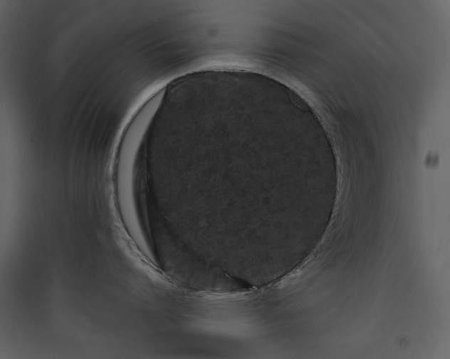 X0000089910864200707131348