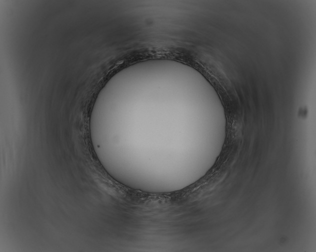 X0000089910865200707131347