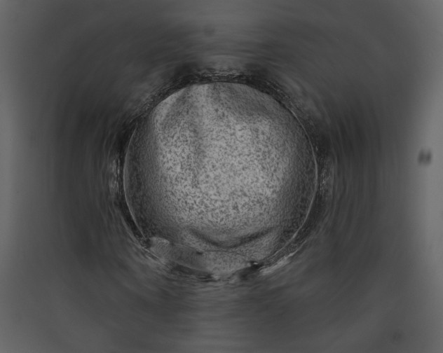 X0000089910866200707131347