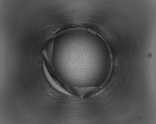 X0000089910868200707131347