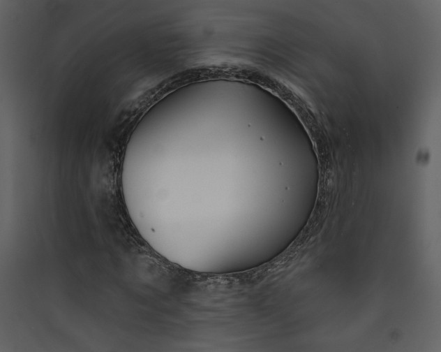X0000089910869200707131347