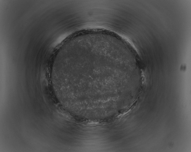 X0000089910871200707131347
