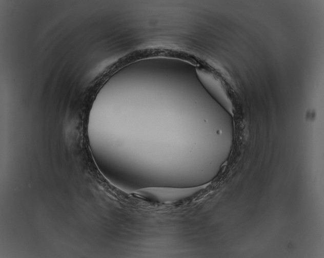 X0000089910872200707131347