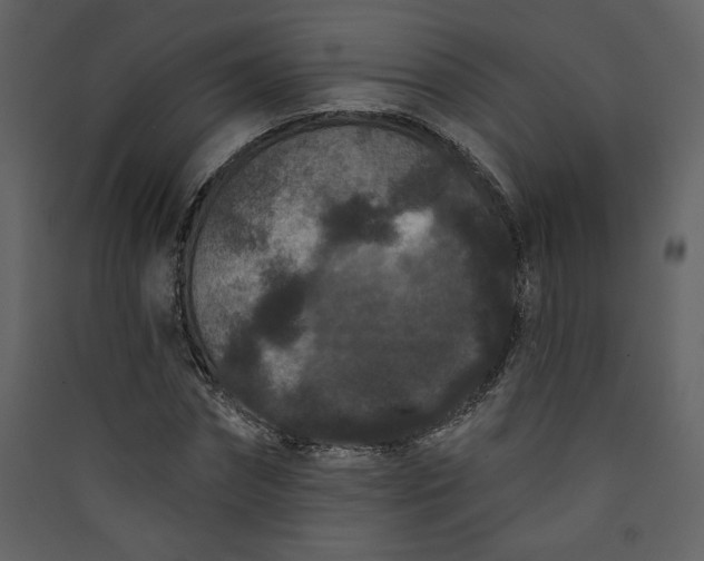 X0000089910874200707131347