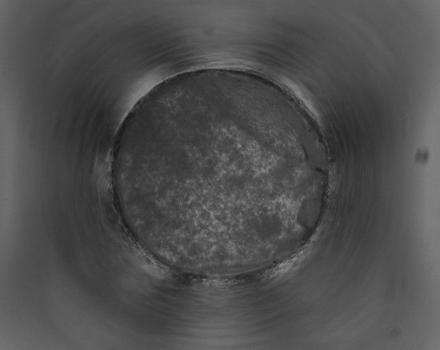 X0000089910875200707131347