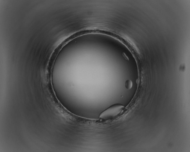 X0000089910876200707131347