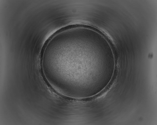 X0000089910877200707131347