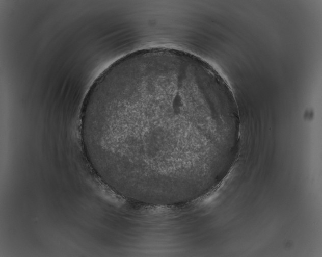 X0000089910879200707131347