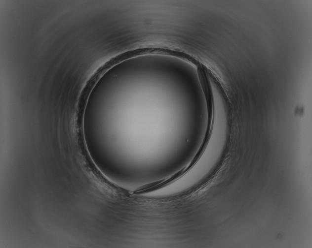 X0000089910880200707131347