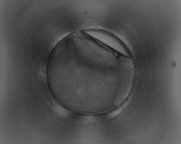X0000089910881200707131347
