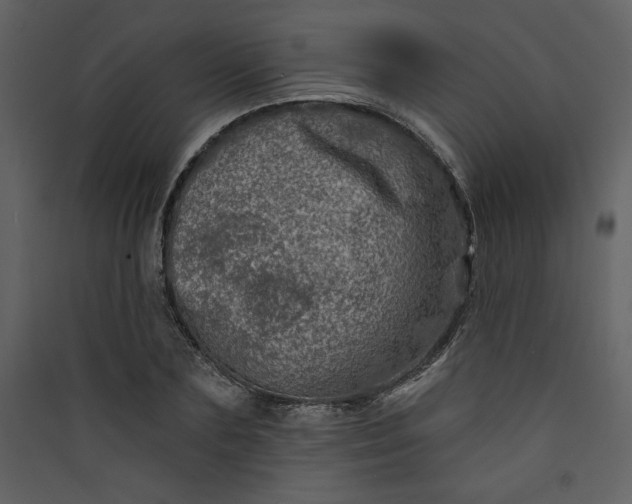 X0000089910883200707131347