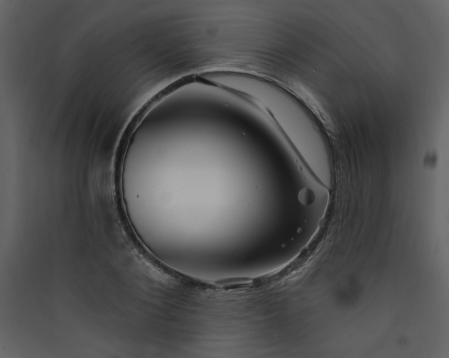 X0000089910884200707131347