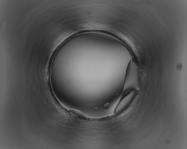 X0000089910885200707131347