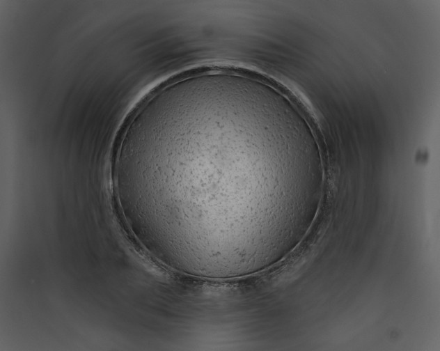 X0000089910887200707131347