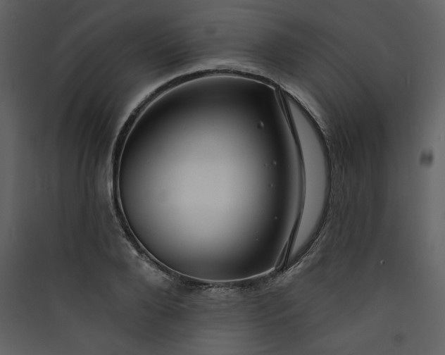 X0000089910888200707131347