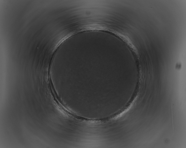 X0000089910889200707131347