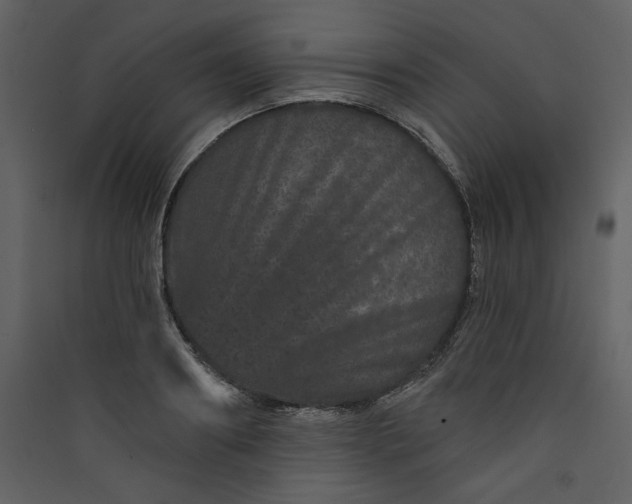 X0000089910890200707131347