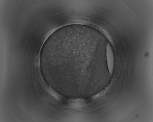 X0000089910891200707131347
