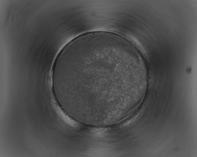 X0000089910892200707131347