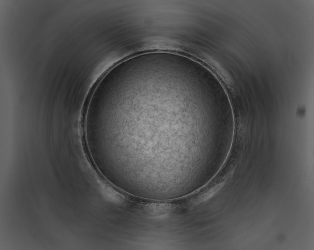 X0000089910893200707131347