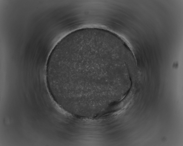 X0000089910895200707131347