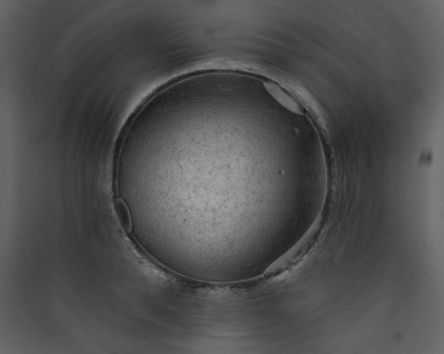 X0000089910896200707131347