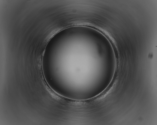 X0000089910897200707131347