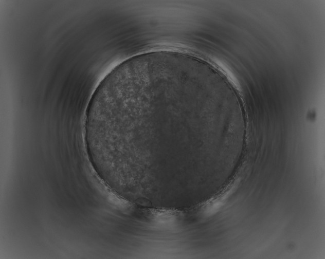 X0000089910899200707131347
