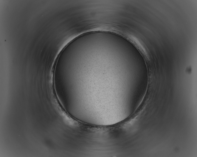 X0000089910900200707131347