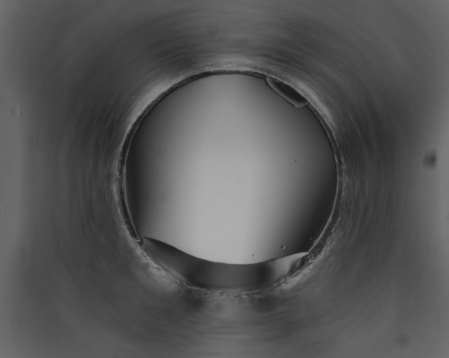X0000089910901200707131347