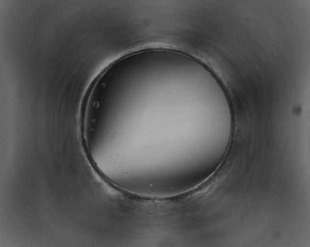 X0000089910902200707131347